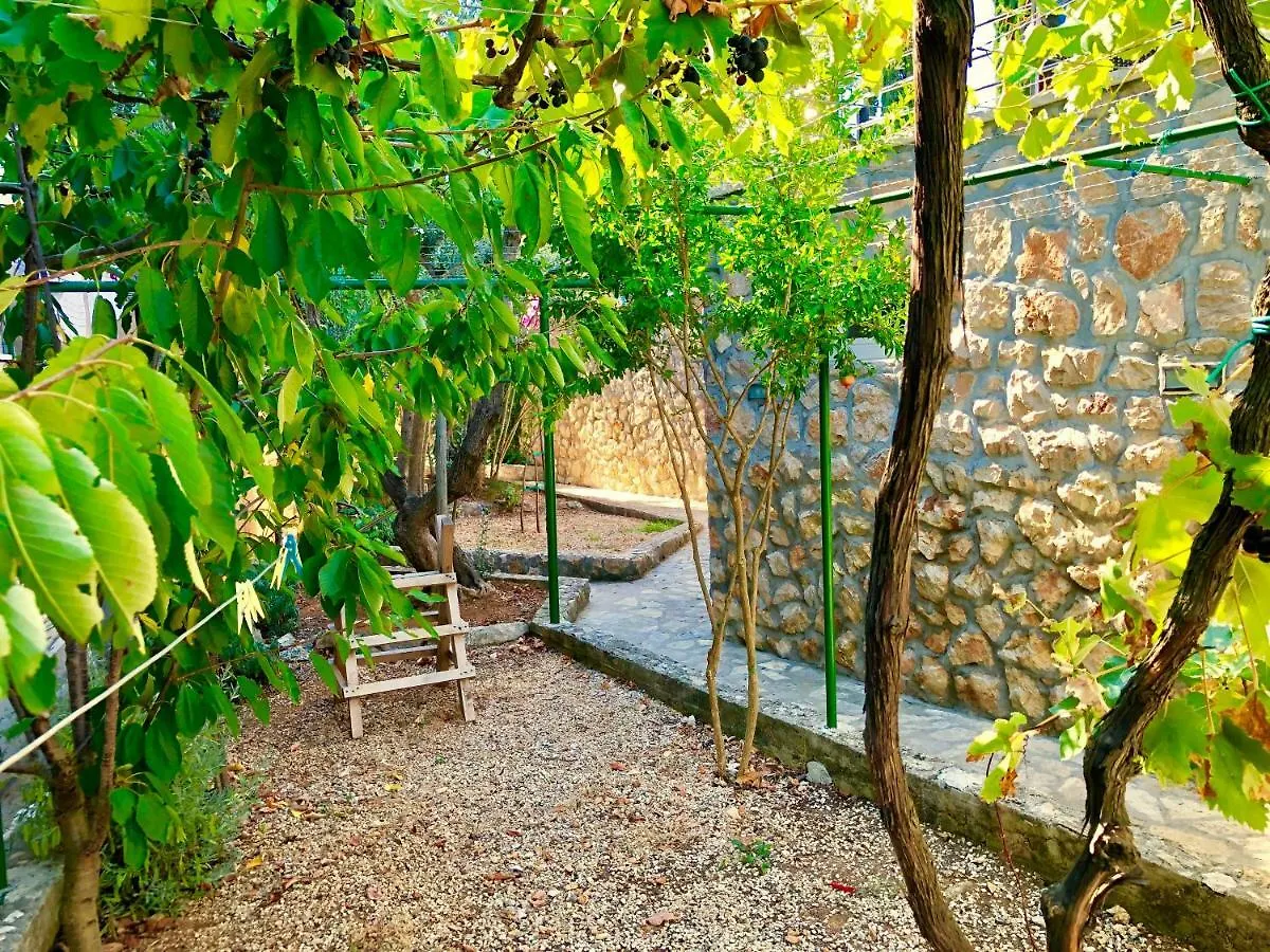 Villa Dinastija Kali