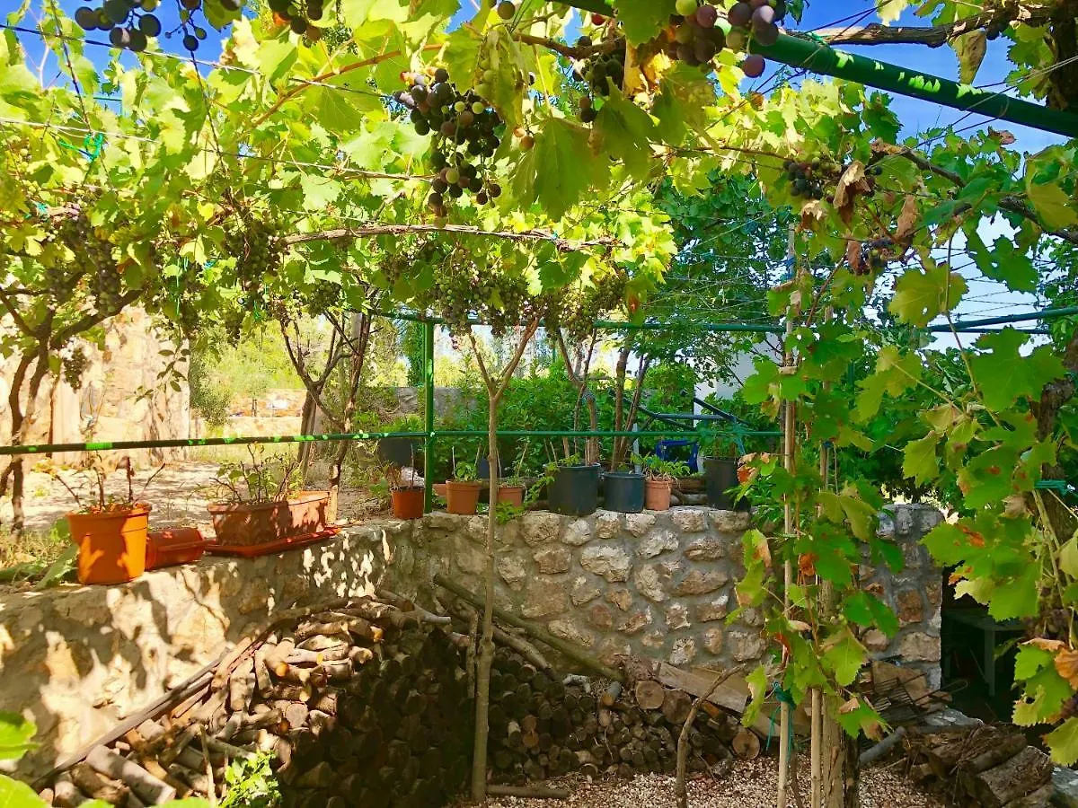 Apartment Villa Dinastija Kali